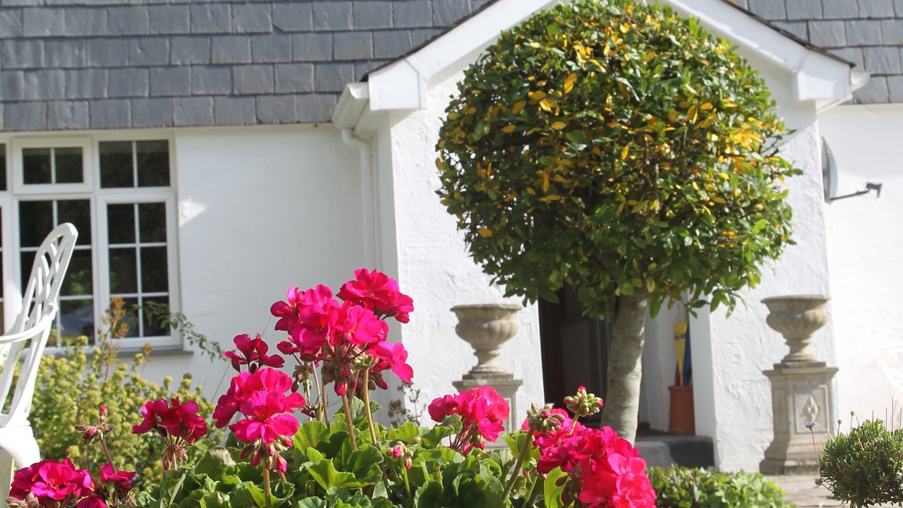 Photo of Bedroom in Wadebridge
