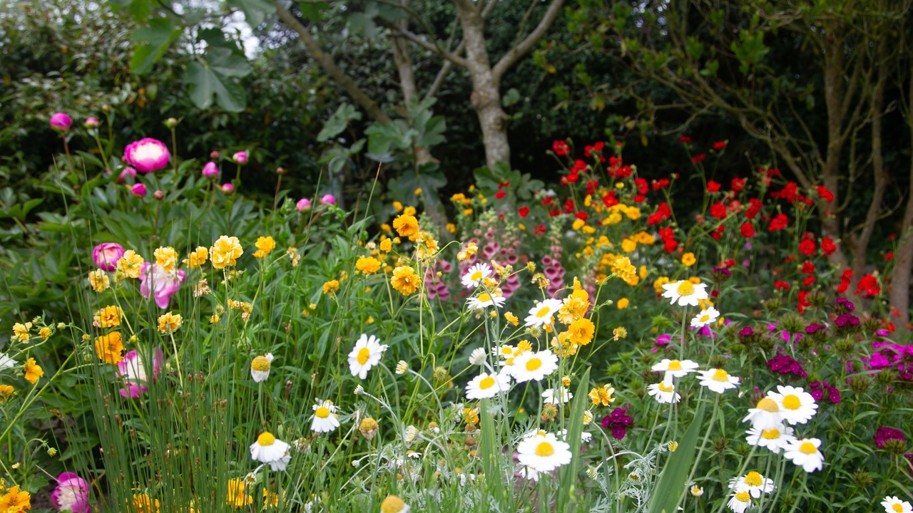 Photo of Bathroom in Wadebridge
