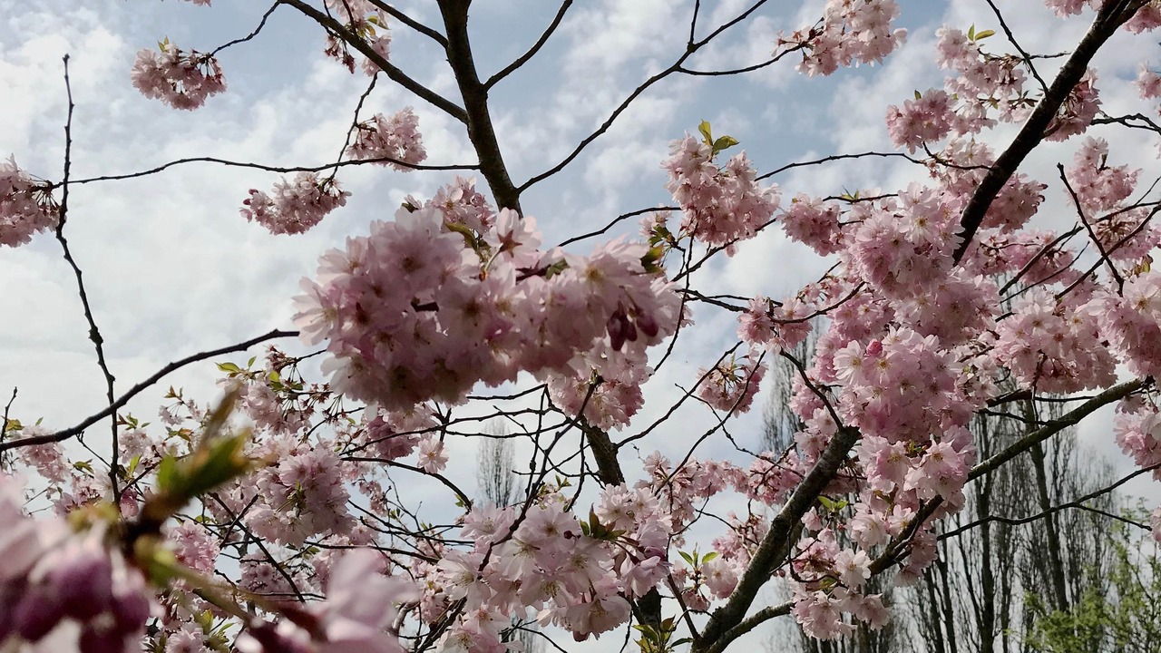 Photo of Others in Falaise
