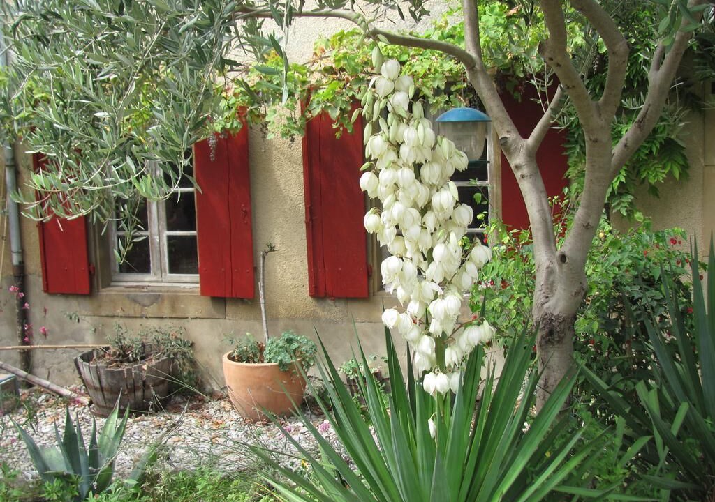 Photo of Outdoor in Pauligne