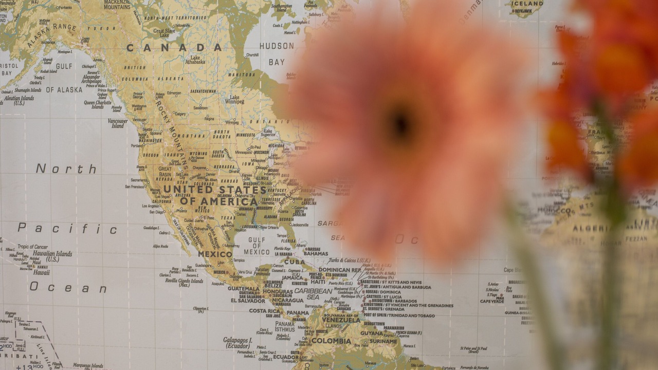 Photo of Others in Hayes Valley