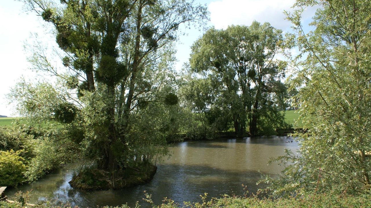 Photo of Outdoor in Augers-en-Brie