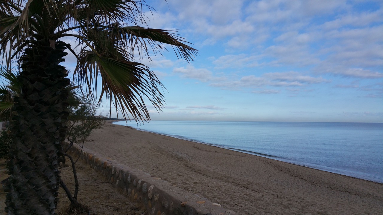 Photo of Others in Sorede