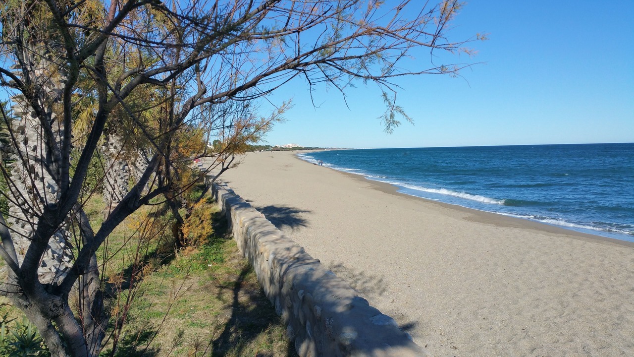 Photo of Others in Sorede