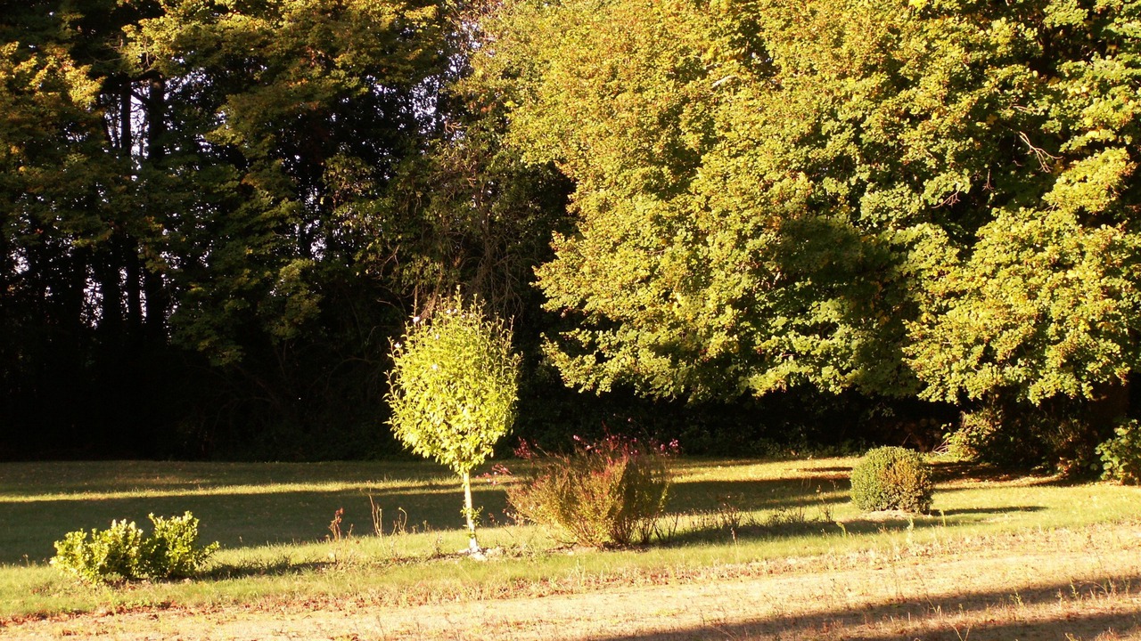 Photo of Outdoor in Saint-Cyr-en-Talmondais