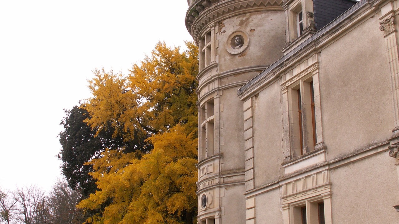 Photo of Outdoor in Saint-Cyr-en-Talmondais