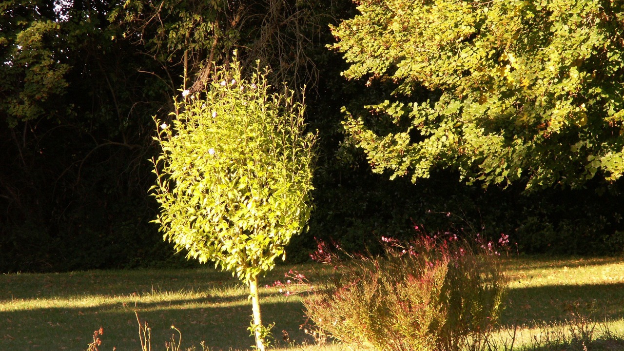 Photo of Outdoor in Saint-Cyr-en-Talmondais