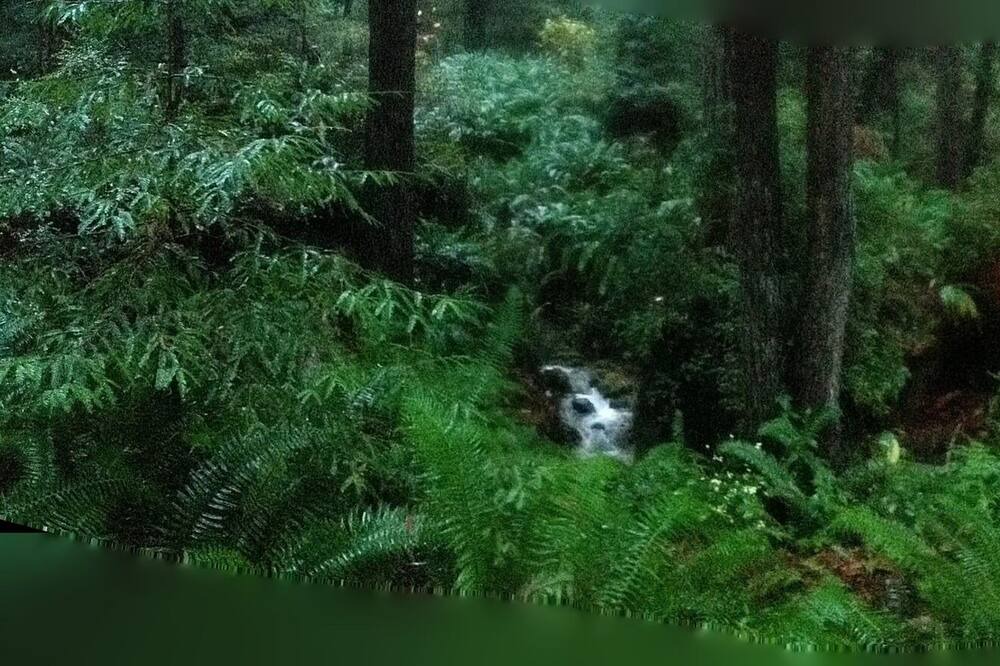 Photo of Others in Fieldbrook
