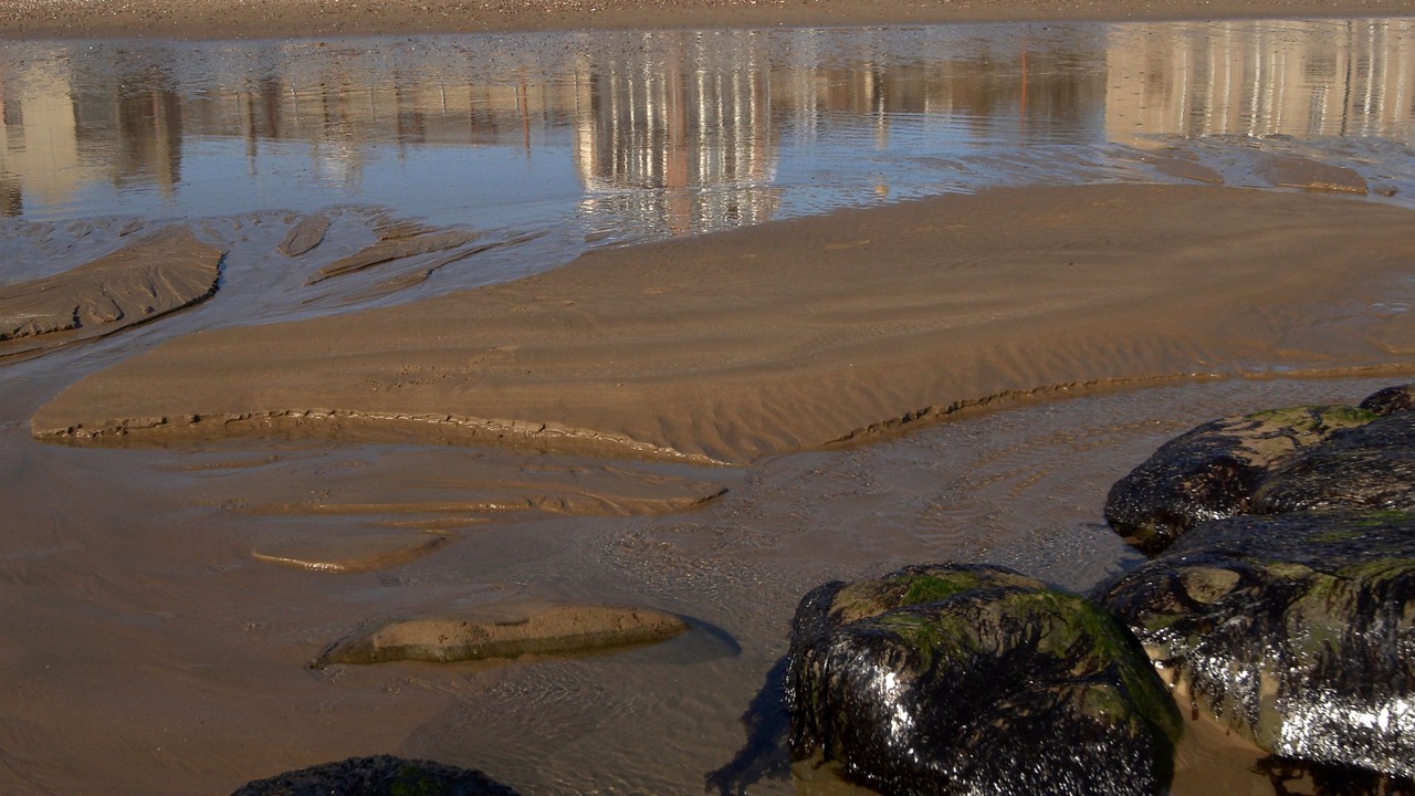 Photo of Others in Stonehaven