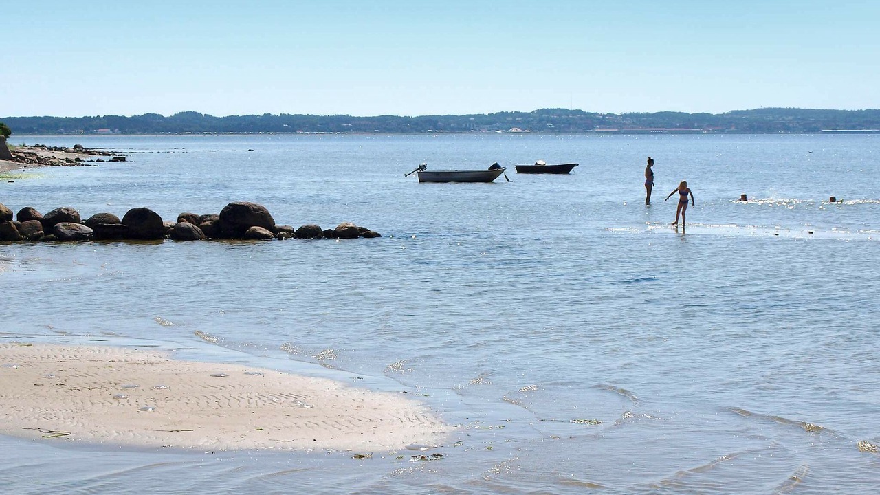 Photo of Others in Lyngsbæk Strand