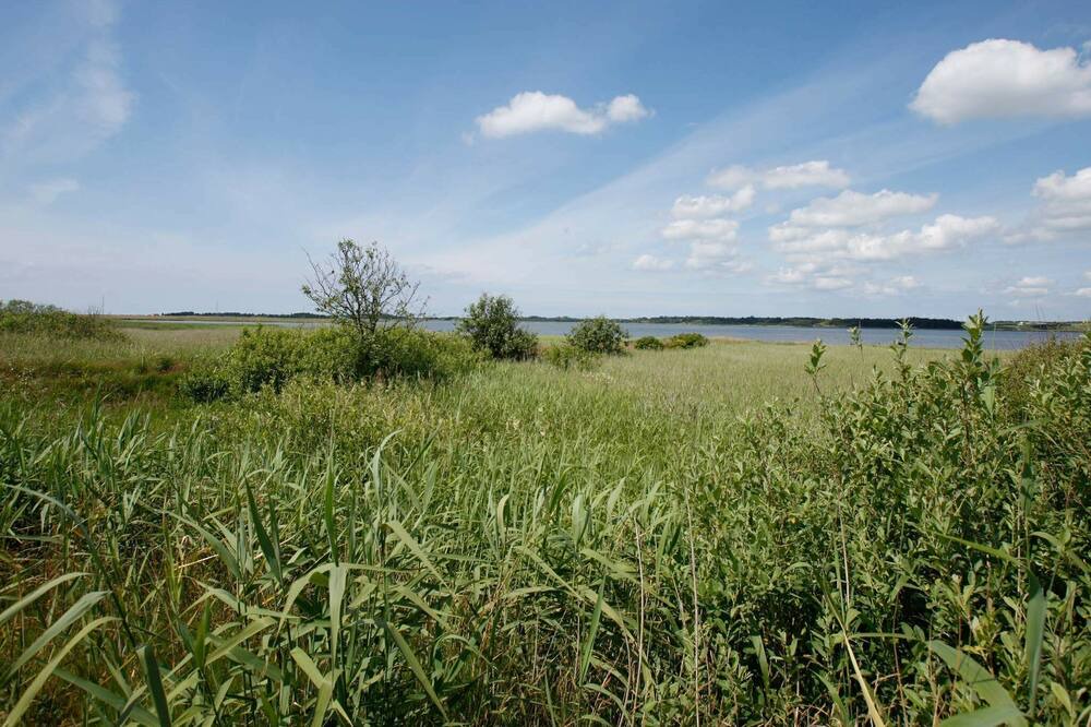 Photo of Others in Thyholm