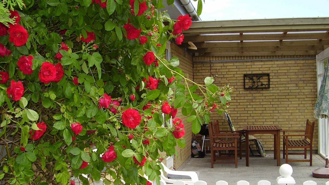 Photo of Outdoor in Dannemare
