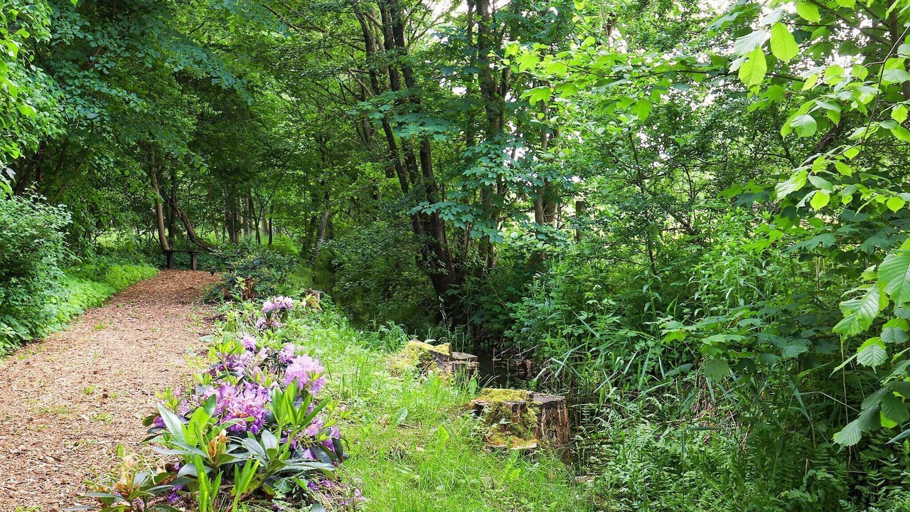 Photo of Outdoor in Roslev