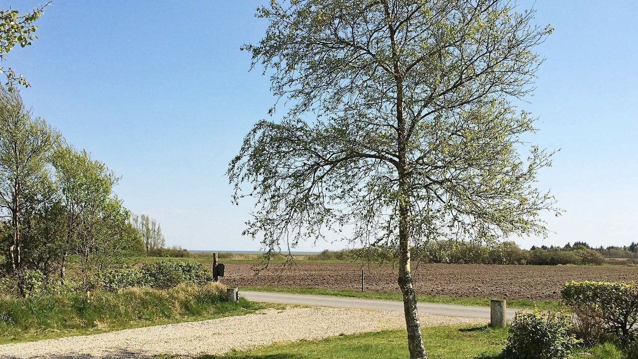 Photo of Outdoor in Ho
