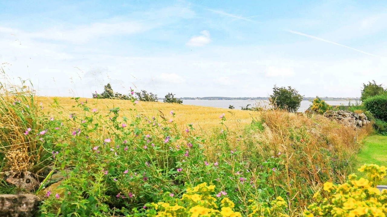 Photo of Outdoor in Bøjden