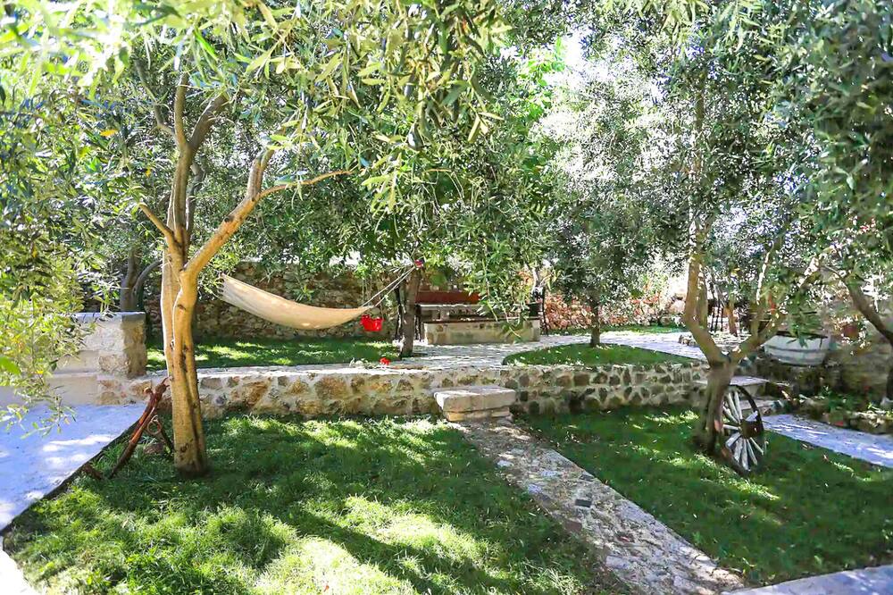 Photo of Outdoor in Banj