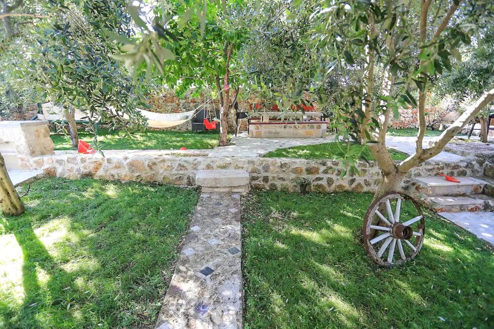 Photo of Outdoor in Banj