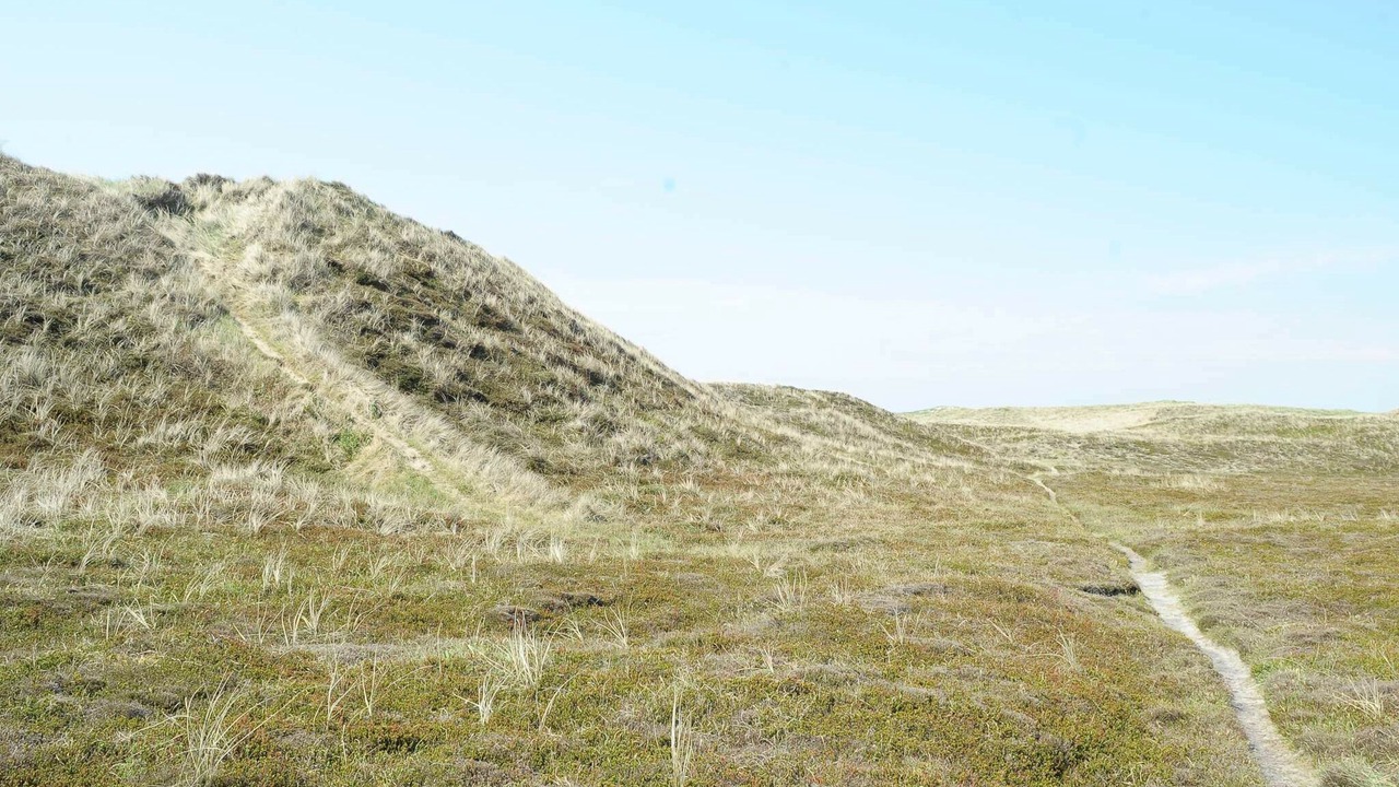 Photo of Others in Houvig Strand