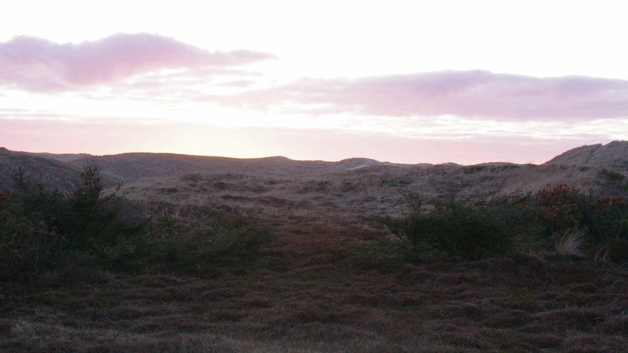 Photo of Others in Houvig Strand