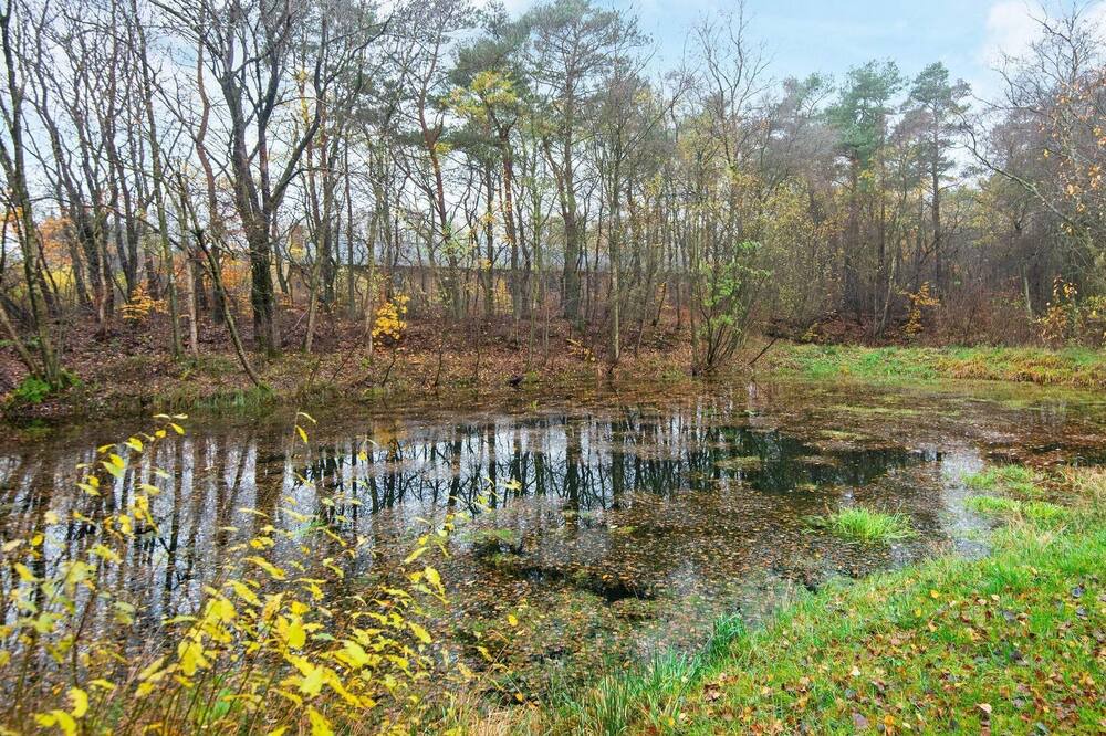 Photo of Outdoor in Skarrild