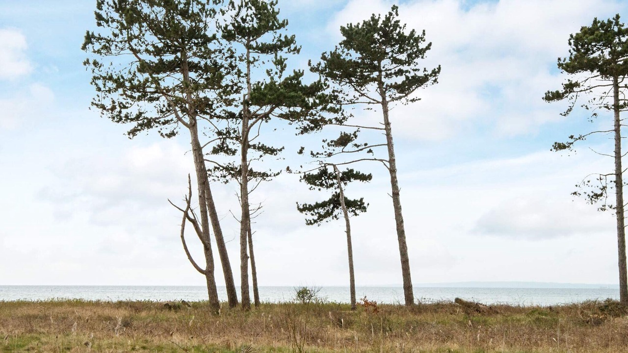 Photo of Others in Skødshoved Strand