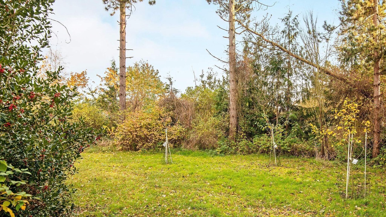 Photo of Outdoor in Skødshoved Strand