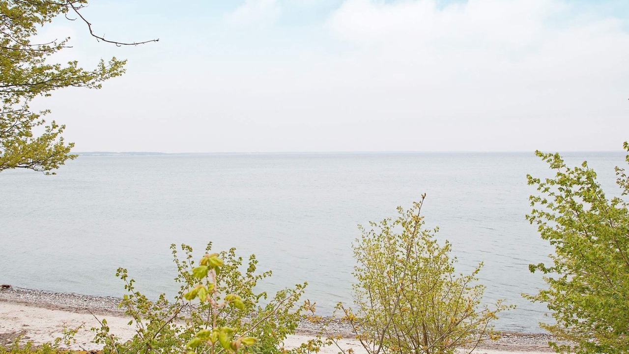 Photo of Others in Roneklint