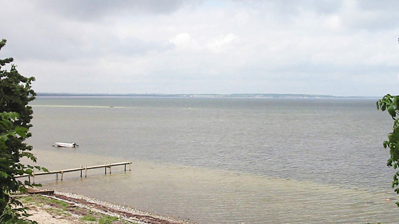 Photo of Others in Roneklint