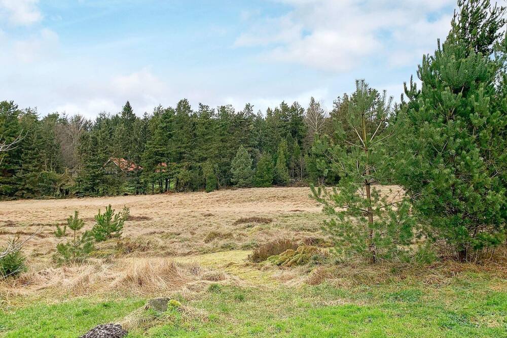 Photo of Others in Bording