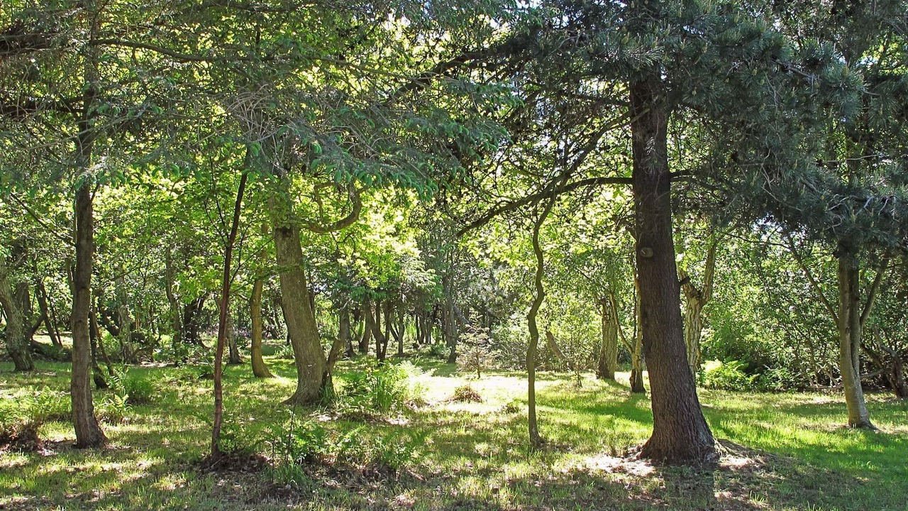 Photo of Outdoor in Rodby
