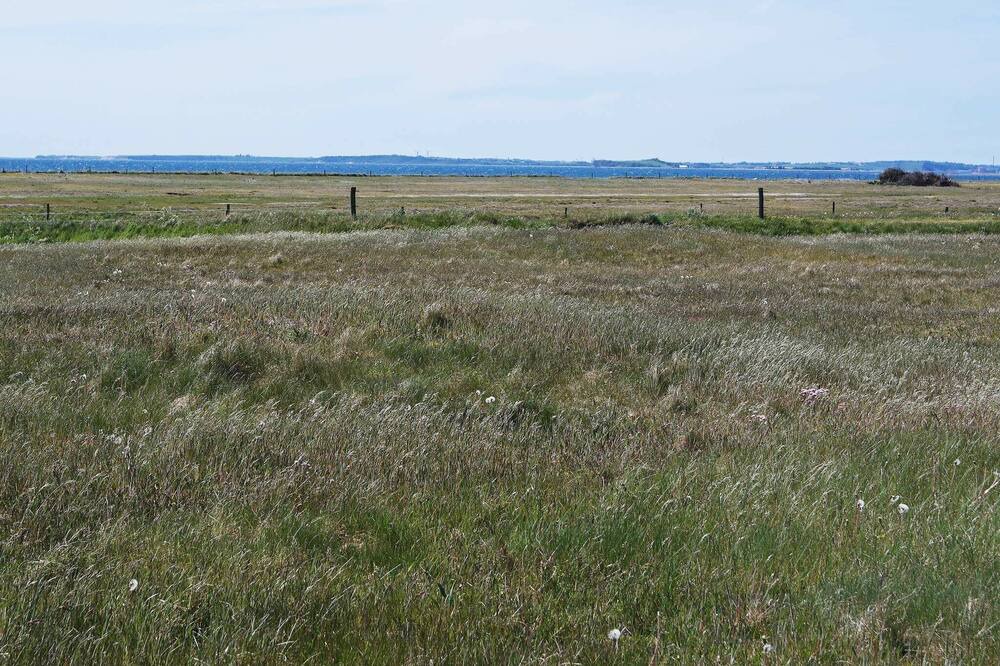 Photo of Others in Øsløs
