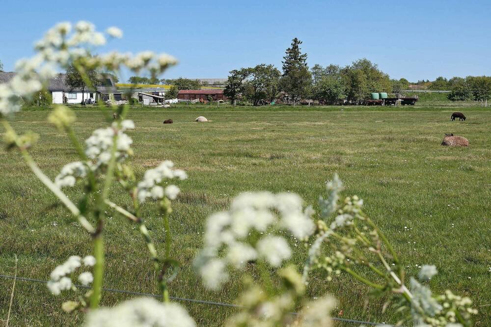 Photo of Outdoor in Øsløs
