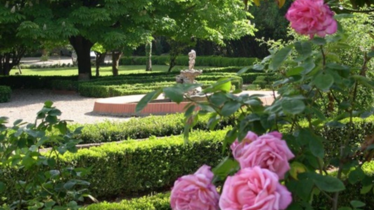 Photo of Others in Floure