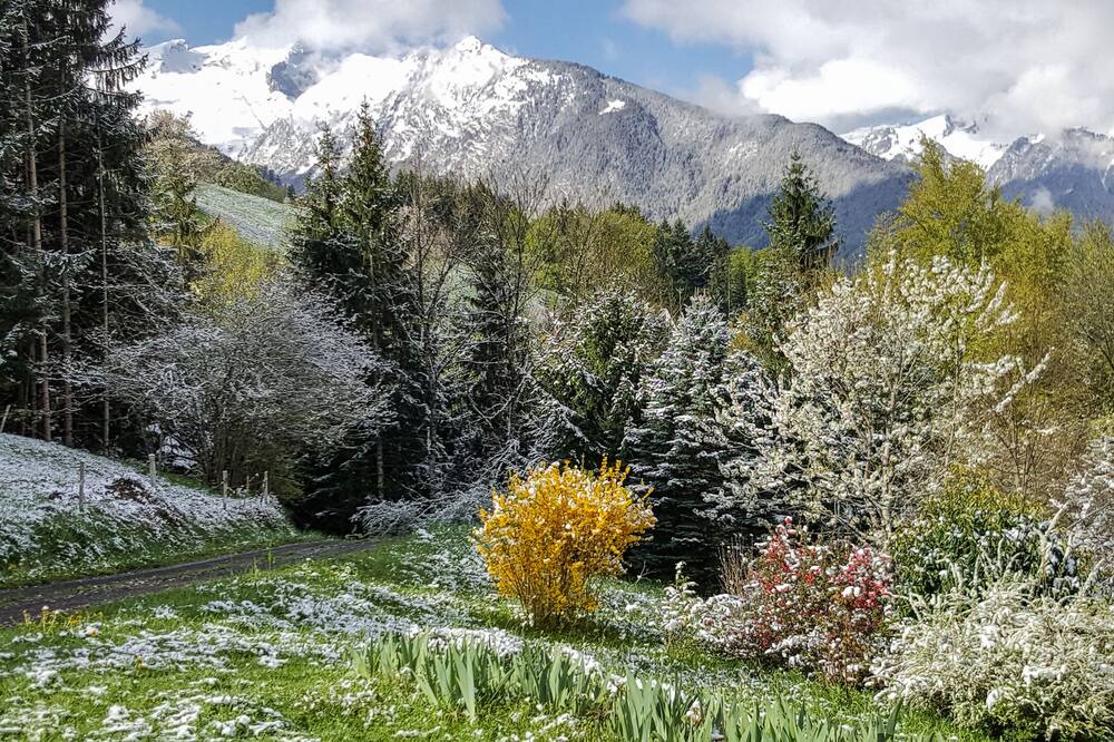 Photo of Others in Thones