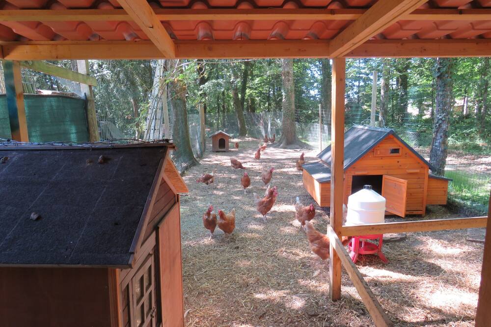 Photo of Outdoor in Lamotte-Beuvron