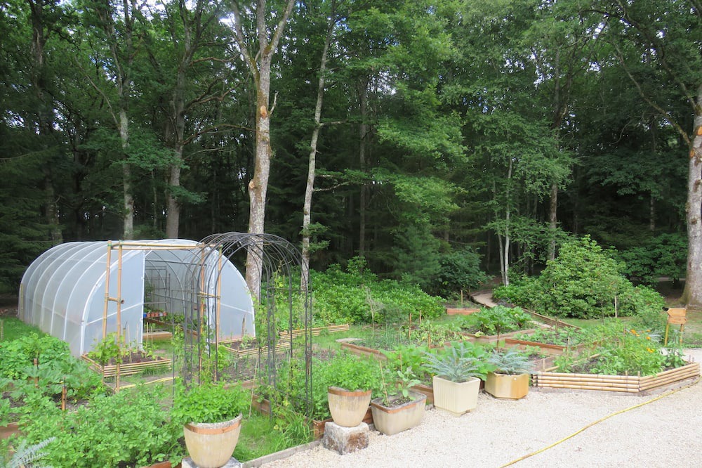 Photo of Outdoor in Lamotte-Beuvron