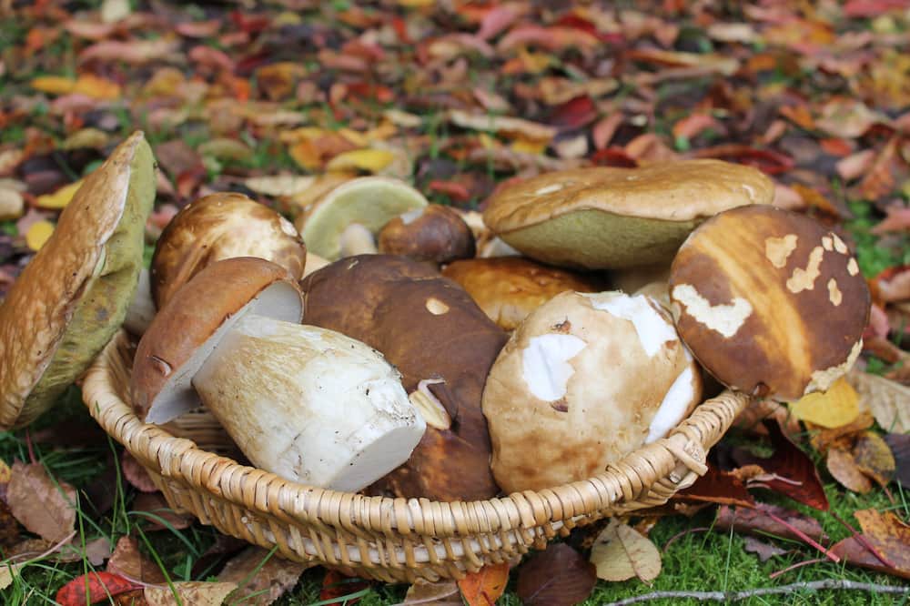 Photo of Outdoor in Lamotte-Beuvron