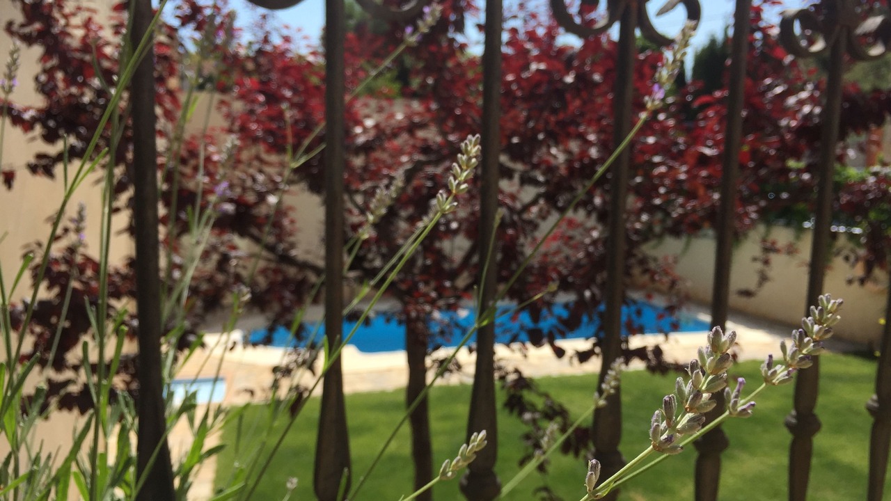 Photo of Outdoor in Castellote