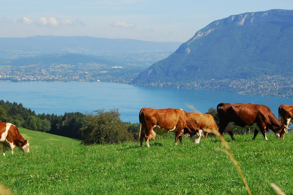 Photo of Outdoor in Saint-Eustache