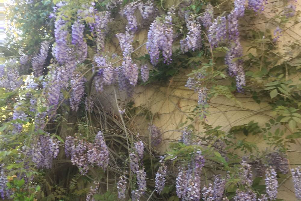 Photo of Outdoor in Gien