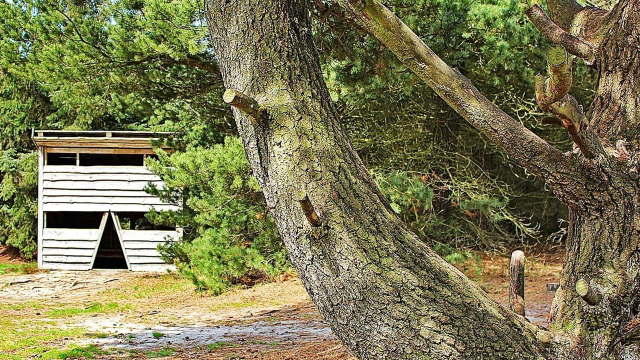 Photo of Outdoor in Sønder Nissum