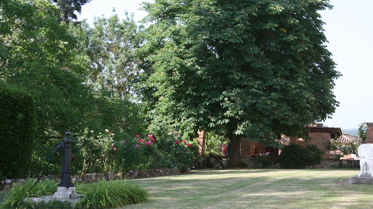 Photo of Outdoor in Auvillar