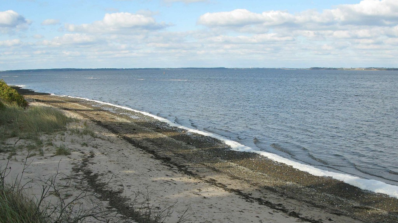 Photo of Others in Sundstrup