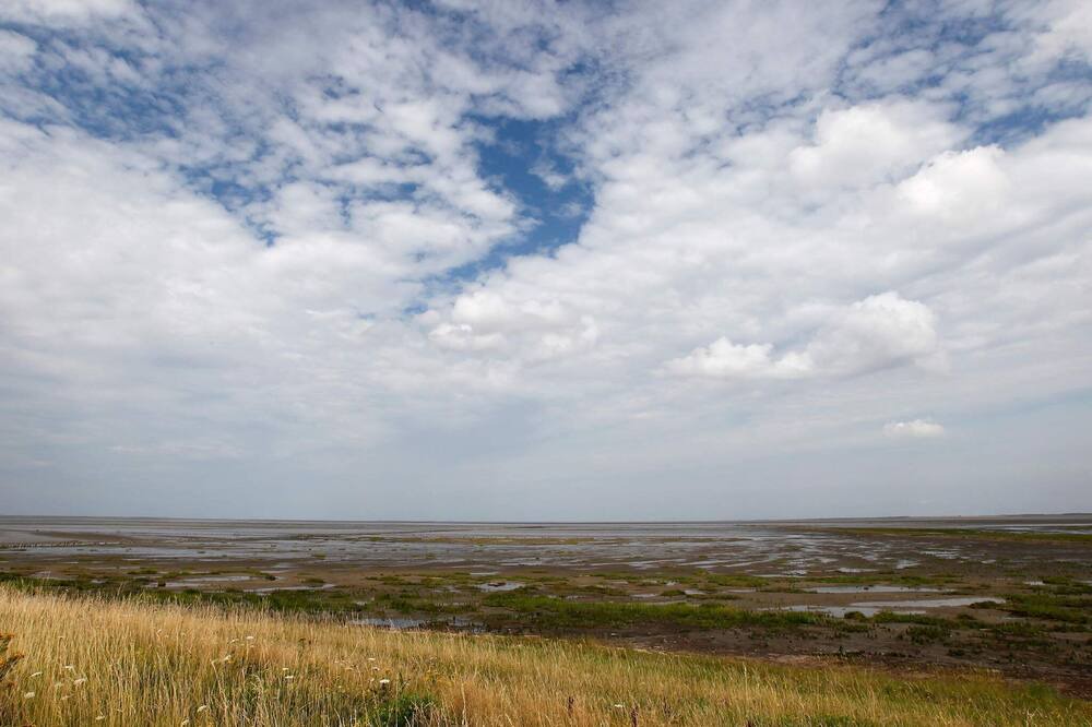 Photo of Others in Skaerbaek