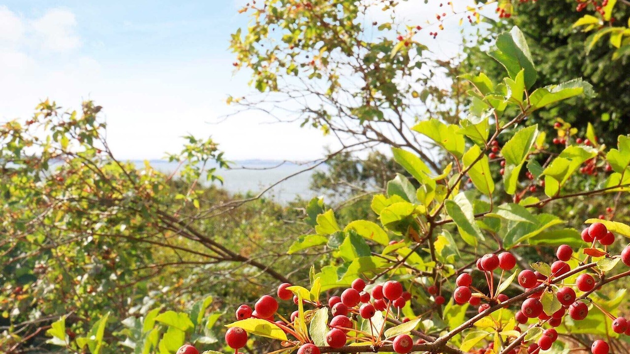 Photo of Outdoor in Lihme