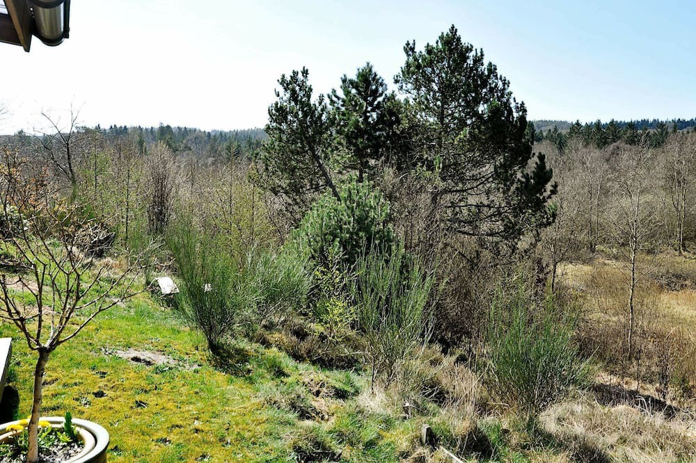 Photo of Others in Silkeborg