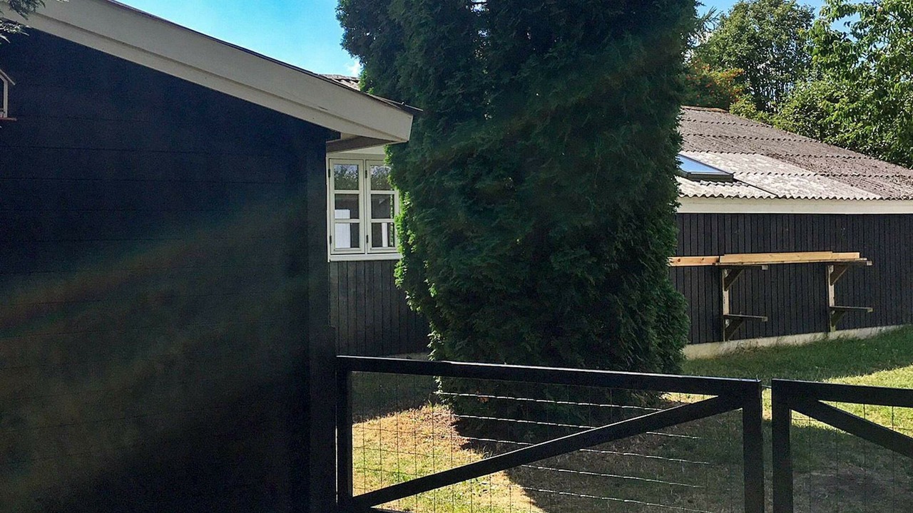 Photo of Outdoor in Stege