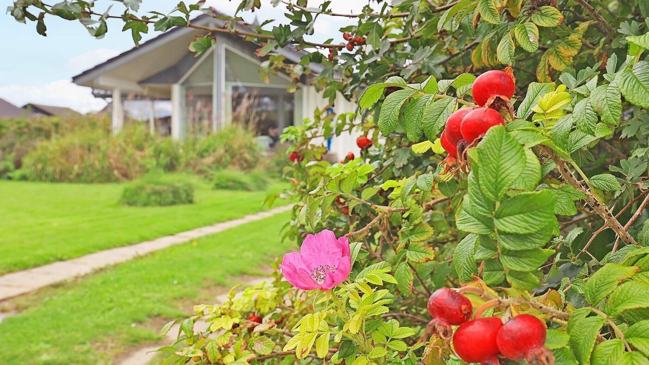 Photo of Outdoor in Faaborg