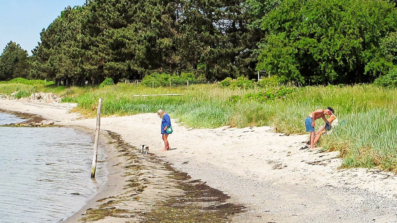 Photo of Others in Askeby