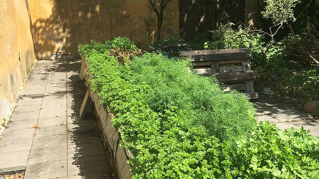Photo of Patio Balcony in Mandoe